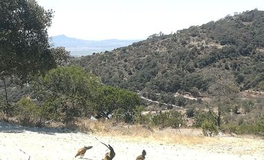 TERRENO EN VENTA “ESTANZUELA -MINERAL DEL CHICO”