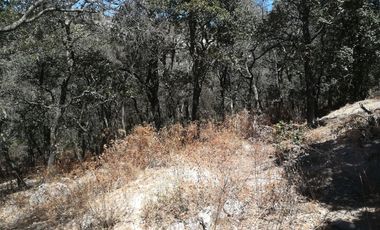 TERRENO EN VENTA “ESTANZUELA -MINERAL DEL CHICO”