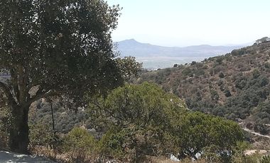 TERRENO EN VENTA “ESTANZUELA -MINERAL DEL CHICO”