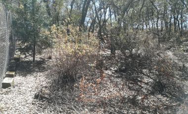 TERRENO EN VENTA “ESTANZUELA -MINERAL DEL CHICO”