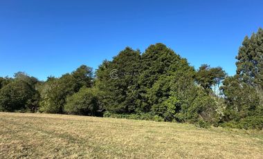 CAMPO LLANQUIHUE CON PRADERAS Y BOSQUE NATIVO