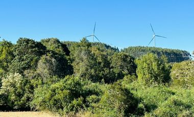 CAMPO LLANQUIHUE CON PRADERAS Y BOSQUE NATIVO