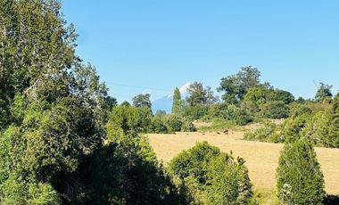 CAMPO LLANQUIHUE CON PRADERAS Y BOSQUE NATIVO