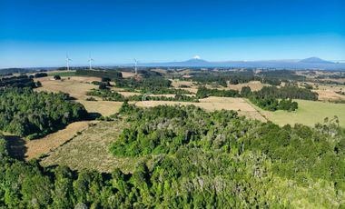 CAMPO LLANQUIHUE CON PRADERAS Y BOSQUE NATIVO