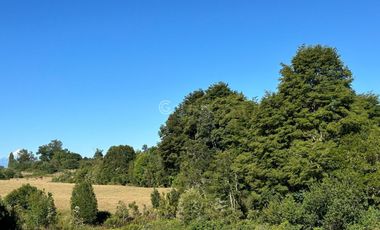 CAMPO LLANQUIHUE CON PRADERAS Y BOSQUE NATIVO