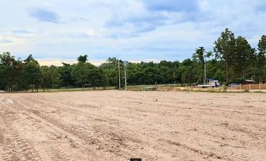 Exclusive Land for Sale located in the Doi Saket District, Chiang Mai