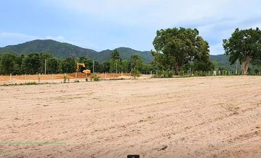 Exclusive Land for Sale located in the Doi Saket District, Chiang Mai