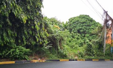 482 vacant lot for sale in New Year's Drive Holiday Hills Subdivision Barangay San Antonio San Pedro Laguna