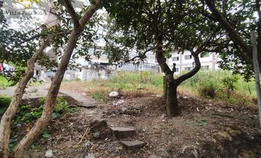 Lot for Sale in Baguio City with Bonus House