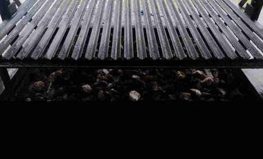 TE RENTO ESTA HERMOSA FINCA  EN LA MESA DE LOS SANTOS LA MORENA