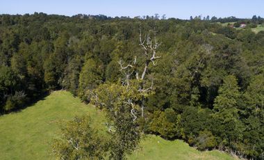 Se Venden parcelas en Condominio de Gran Plusvalía en Puerto Varas