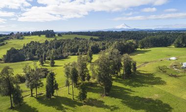 Se Venden parcelas en Condominio de Gran Plusvalía en Puerto Varas