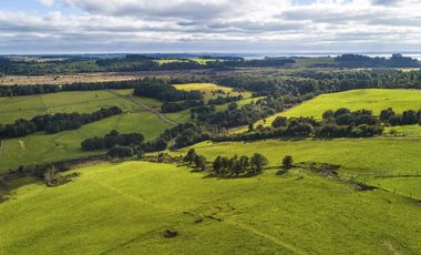 Se Venden parcelas en Condominio de Gran Plusvalía en Puerto Varas