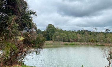 Se Venden parcelas en Condominio de Gran Plusvalía en Puerto Varas