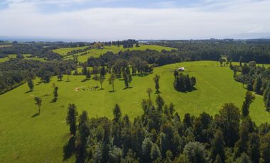 Se Venden parcelas en Condominio de Gran Plusvalía en Puerto Varas