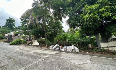 For Sale 500 Sqm Lot in Doña Rita Village, Banilad Cebu City