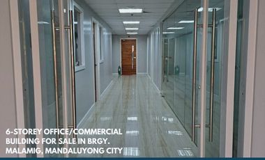 6-Storey Office/Commercial Building for Sale in Brgy. Malamig, Mandaluyong City