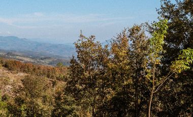 LOTE 605 PROYECTO AVELLANEDA. 300 M2 EN MEDIO DE LA NATURALEZA