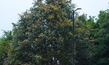 LOTE 605 PROYECTO AVELLANEDA. 300 M2 EN MEDIO DE LA NATURALEZA