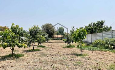 Land for sale with 1 small house and 1 storage building, San Khong, San Kamphaeng.