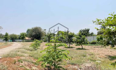Land for sale with 1 small house and 1 storage building, San Khong, San Kamphaeng.