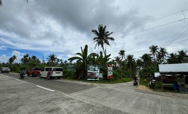 For Sale: Beach Lot in Siargao, Magpupungko, P225M