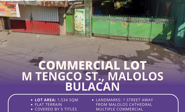 Commercial Lot M Tengco St., Malolos, Bulacan - For SALE