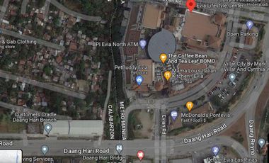8.1 Hectares of Prime Land for Sale Near Evia Mall, Daang Hari