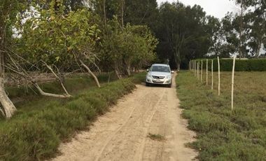 VENDO AMPLIO TERRENO CON FRENTE A PANAMERICANA SUR ALTURA TOTORITAS - MALA