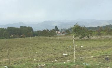 VENDO AMPLIO TERRENO CON FRENTE A PANAMERICANA SUR ALTURA TOTORITAS - MALA