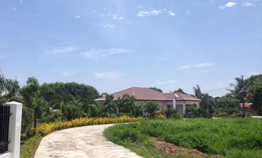 For Sale 5-Bedroom Contemporary Spanish  Style Home w/ big lot area in Talisay City, Cebu.