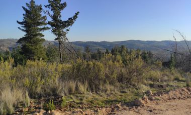 PARCELA EN OFERTA!!!!