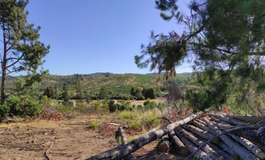 PARCELA EN OFERTA!!!!