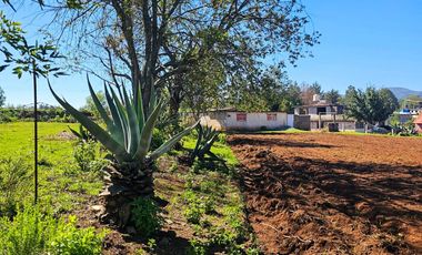 🌲 Venta de Terreno en Venta de Guadalupe, Omitlán – 4,534 m²