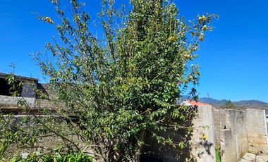 🌲 Venta de Terreno en Venta de Guadalupe, Omitlán – 4,534 m²