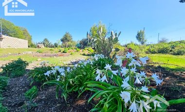 🌲 Venta de Terreno en Venta de Guadalupe, Omitlán – 4,534 m²