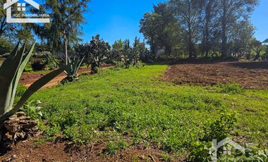 🌲 Venta de Terreno en Venta de Guadalupe, Omitlán – 4,534 m²