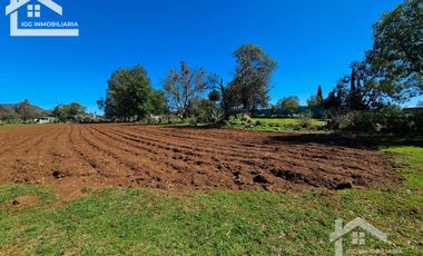 🌲 Venta de Terreno en Venta de Guadalupe, Omitlán – 4,534 m²