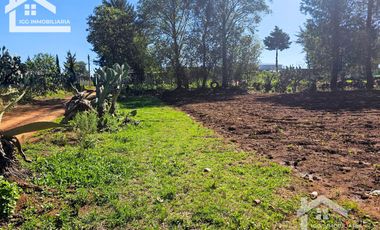 🌲 Venta de Terreno en Venta de Guadalupe, Omitlán – 4,534 m²