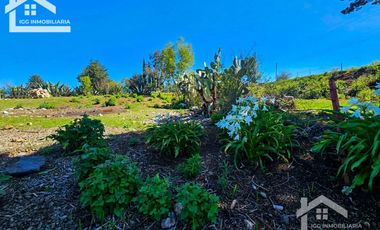 🌲 Venta de Terreno en Venta de Guadalupe, Omitlán – 4,534 m²