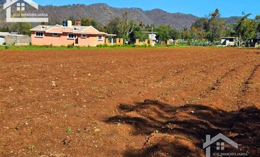 🌲 Venta de Terreno en Venta de Guadalupe, Omitlán – 4,534 m²