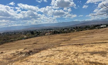 VENTA DE TERRENOS EN POBLADO MORELOS