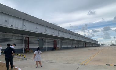 Factory/Warehouse 10,000-30,000 sq.m. in Bang Na Trat Rd. in Bang Pakong Chachoengsao