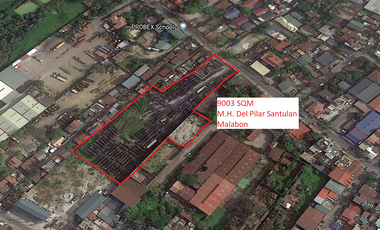 Extensive Industrial Lot for Sale in Santulan, Malabon Near in Robinson Town Mall & Ayala Malls Cloverleaf