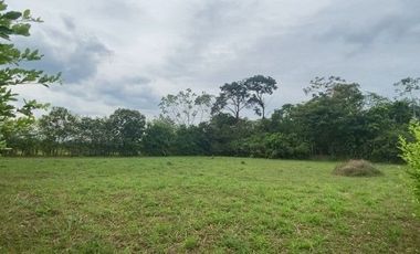 LOTE CAMPESTRE VIA RESTREPO