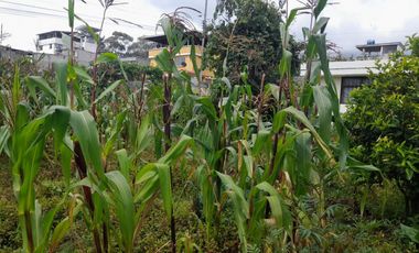 Venta de casa de 75m2 con un terreno de 500m2 en Cutuglahua
