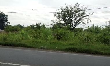 Tanah Raya Menganti Gresik Disewakan