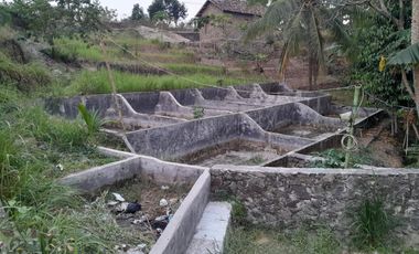 Rumah Murah Pinggir Jalan Luas 900 m Di Kota Cilegon