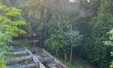Rumah Murah Pinggir Jalan Luas 900 m Di Kota Cilegon