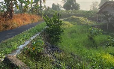 Rumah Murah Pinggir Jalan Luas 900 m Di Kota Cilegon